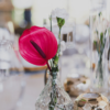 dekoracje-stolu-weselnego