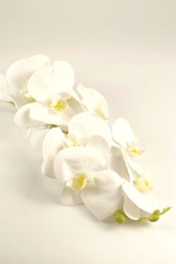 sztuczne-kwiaty-orchidea-storczyk-kwiaty-na-wynajem-bridevibes